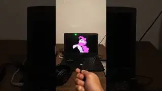 Man versus Ponies 
