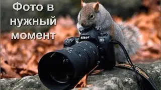Photos taken at the right time