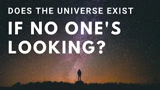 Does the Universe Exist if No One’s Looking?