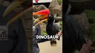 Prehistoric bird