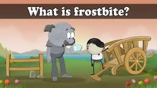 What is frostbite? | 