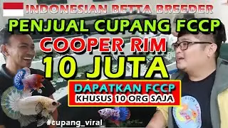 PENJUAL BREEDER CUPANG FCCP STAR TAIL DAN COOPER RIM 10 JUTA DAN KOI BRAAY @Herdiansyah Hr - LAMPUNG