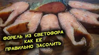 Как засолить форель Самый простой и удачный рецепт засолки рыбы Получится у всех