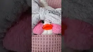 Неспешное утро Лалафанфан 🦆