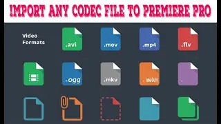 import any video codec to your video editor / influx plugin