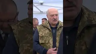 Лукашенко: Разбэстились кадры дальше некуда! А это же деньги огромные! #shorts