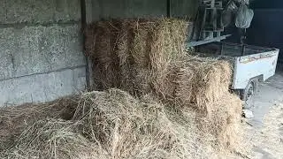 Теплая  подстилка  для нутрий