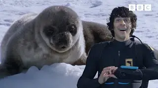 Blubber and Bubbles 🫧 🦭 | 15+ Minutes | Andy's Aquatic Adventures | Andy's Amazing Adventures