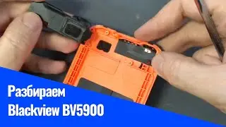 Разборка Blackview BV5900