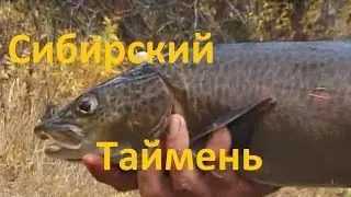 Диалоги о рыбалке -  204 -Рыболовный сплав. В погоне за тайменем.