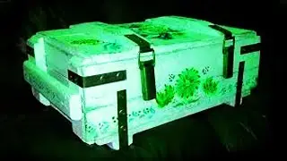 ОТКРЫЛ САМЫЙ ДОРОГОЙ КЕЙС ВО ВСЁМ МИРЕ! ЧТО ВНУТРИ??! | ДОТА 2