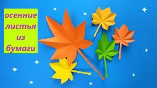 ОСЕННИЕ ЛИСТЬЯ ИЗ БУМАГИ / Кленовые листочки из бумаги /AUTUMN LEAVES MADE OF PAPER