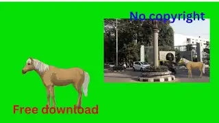 3d horse animation🐴 3d horse running animation🐴 🐴 horse cartoon green screen nocopyright🐴  🐴  🐴