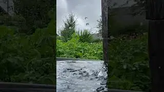 Капли дождя.