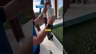 Почистил очень грязный бассейн 