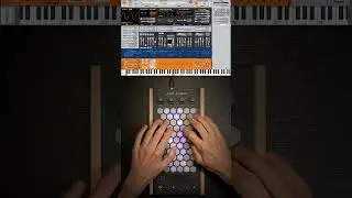 Exquis - Surge XT "Grizz Lead" #lead #vstplugin #opensource #synth #vst #plugin #instrument #midi