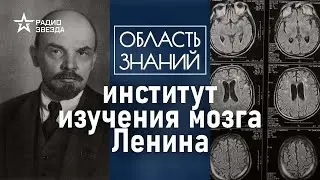 Сколько весил мозг Владимира Ленина? Лекция историка Валерии Слисковой