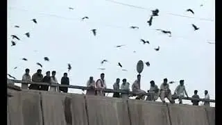 Eagle Wali Dargah