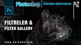 Filtreler ve Filter Gallery - Photoshop Dersleri