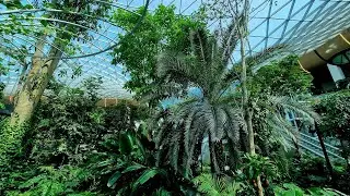 Orchard in Hamad International Airport - Doha, Qatar