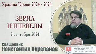 Зерна и плевелы. Беседа священника Константина Корепанова (2.09.2024)