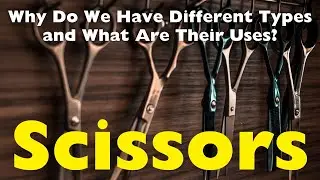 Scissors 101: Which Type Is Right for You?