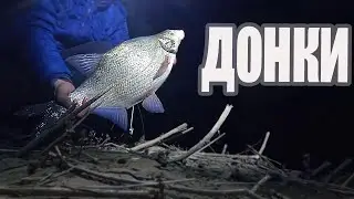 НОЧНАЯ ЛОВЛЯ НА ДОНКИ ВЕСНОЙ