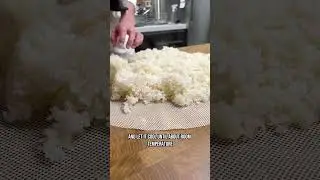 How To Ferment Korean Rice BEER