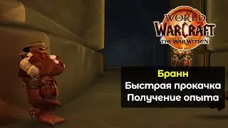 Как быстро прокачать Бранна для успешного прохождения вылазок | World of Warcraft: The War Within