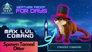 Tamed Otter Spawn Command  Ark Survival Ascended