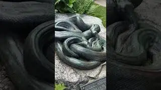 Eisenschlangen im Tierpark Hagenbeck in Hamburg / железные змеи в зоопарке Хагенбек в Гамбурге