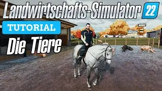 LS22 Tiere - Alles über die LS22 Tiere - LS22 Tutorials