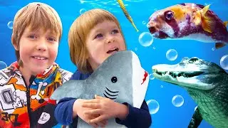 АКУЛЕНОК ищет маму 🦈 Бьянка и Маша Капуки в Океанариуме 🐳 Видео для детей