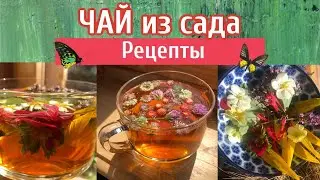 Чай из вашего сада. Рецепты.