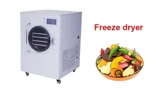 Small Size Freeze Dry Machine Freeze Dryer China Vacuum Freeze Drying Equipment