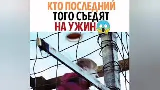 КТО ПОСЛЕДНИЙ ТОГО СЪЕДЯТ НА УЖИН | Как называется Фильм | Название фильма в видео...