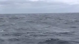 Sea Swells