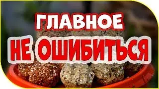 ДА ЛАДНО! ПРИКОРМКА НЕ ЛЕПИТСЯ!