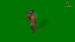 Happy Tiger Club-Dancing Green Screen HD