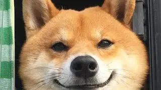 Догонялки Челендж!