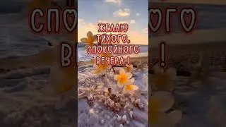 Добрый вечер !🌹💛
