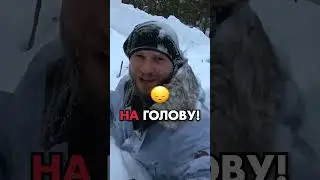 Ночь в лесу без палатки 