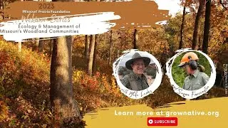 MPF Webinar: Ecology & Management of Missouri’s Woodland Communities