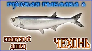 РР4 СЕВЕРСКИЙ ДОНЕЦ ПЛОТВА / РУССКАЯ РЫБАЛКА 4 ДОНЕЦ ЧЕХОНЬ / RUSSIAN FISHING 4 SABREFISH