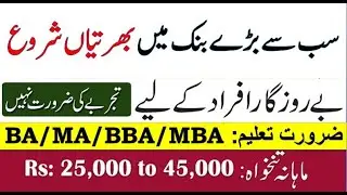 HBL Jobs 2021 – Habib Bank Limited Apply Online – hblpeople.com