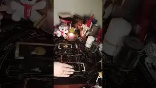 ⚡🌞 ЧТО В ДОРОГЕ.. ЧТО НА ПОРОГЕ..♥️🐾