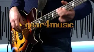 Greg Bennett Royale RLB-3 Bass Guitar (Performance)