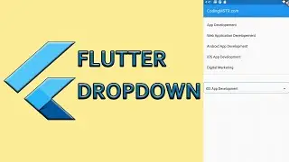 Flutter Dropdown | Create Custom Dropdown in Flutter