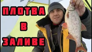 Ловля плотвы зимой на мормышку со льда