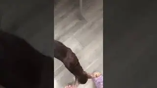 ❤️Марсель❤️